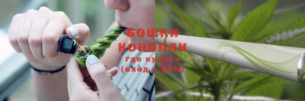 соль ск Липки