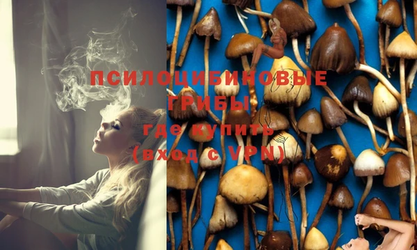 соль ск Липки