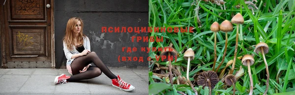 COCAINE Лихославль