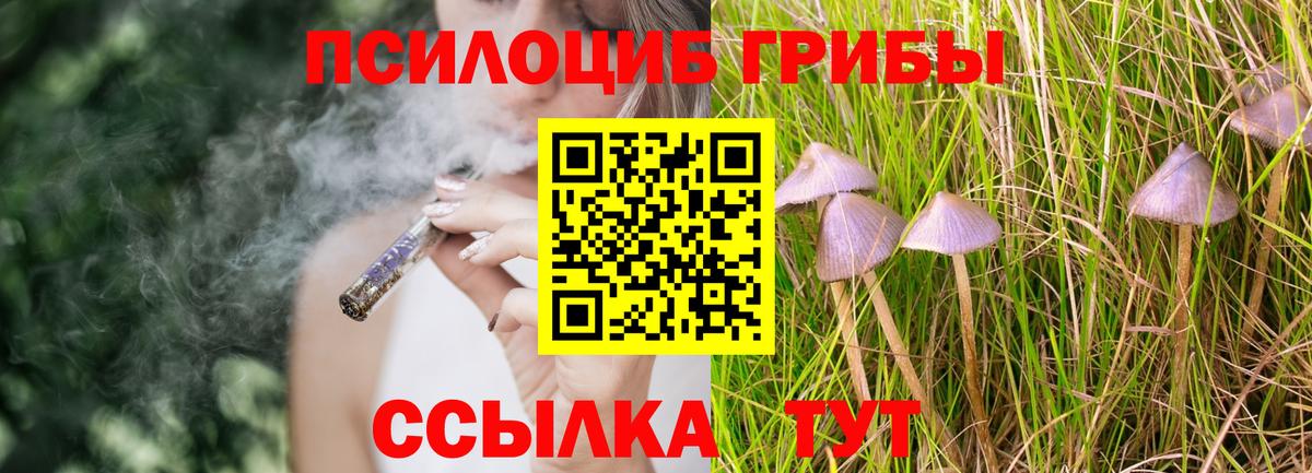 Псилоцибиновые грибы мухоморы  Псилоцибиновые грибы Cubensis  Сызрань  Вход с VPN 