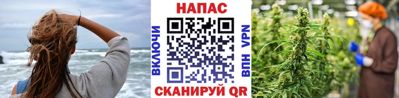 Бошки марихуана планчик Сызрань